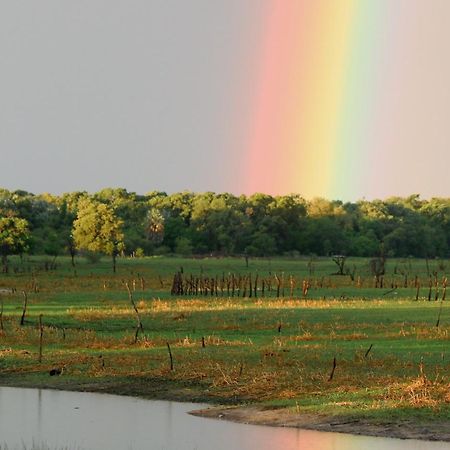 Island Safari Lodge Maun Zewnętrze zdjęcie