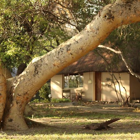 Island Safari Lodge Maun Zewnętrze zdjęcie