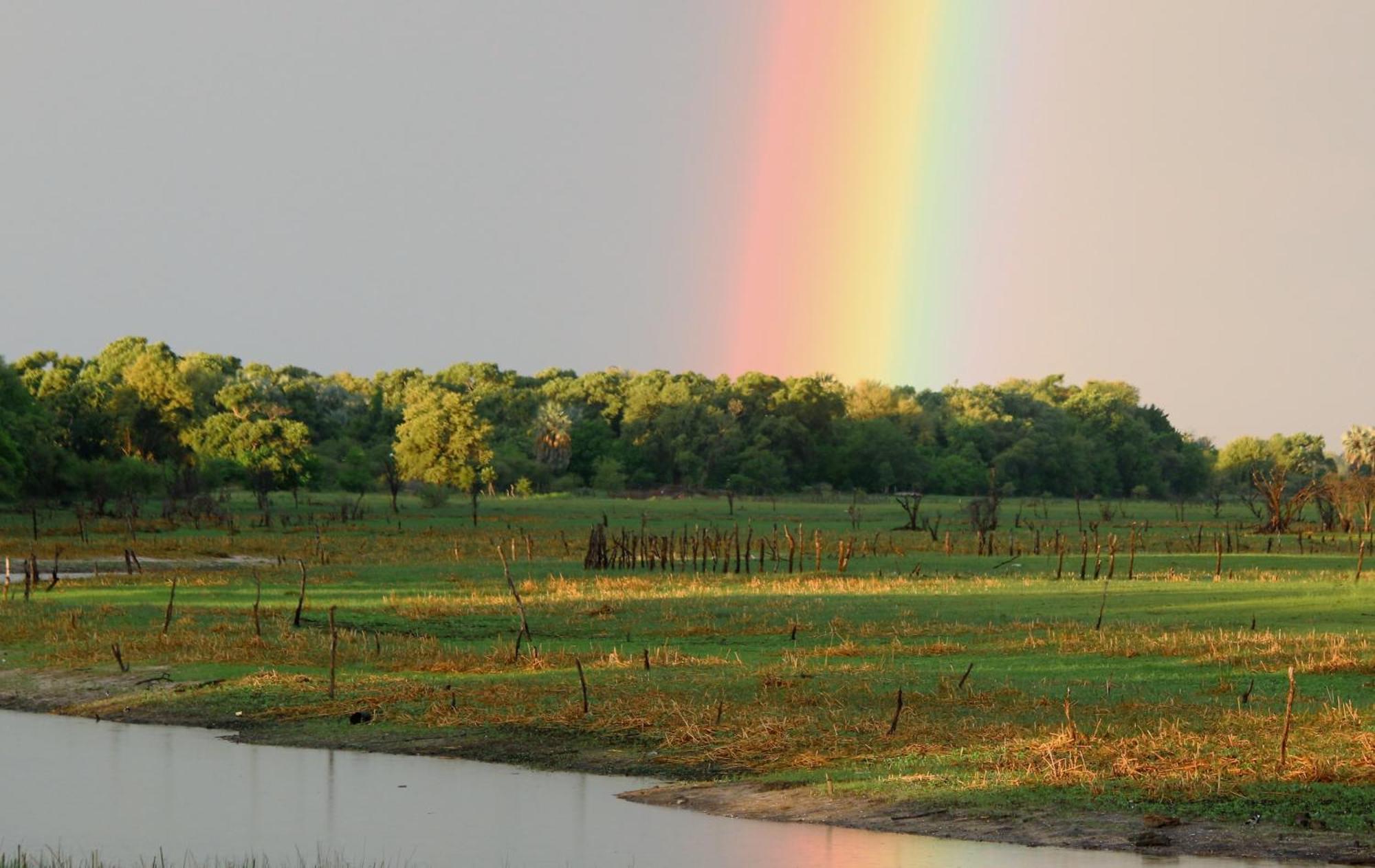 Island Safari Lodge Maun Zewnętrze zdjęcie