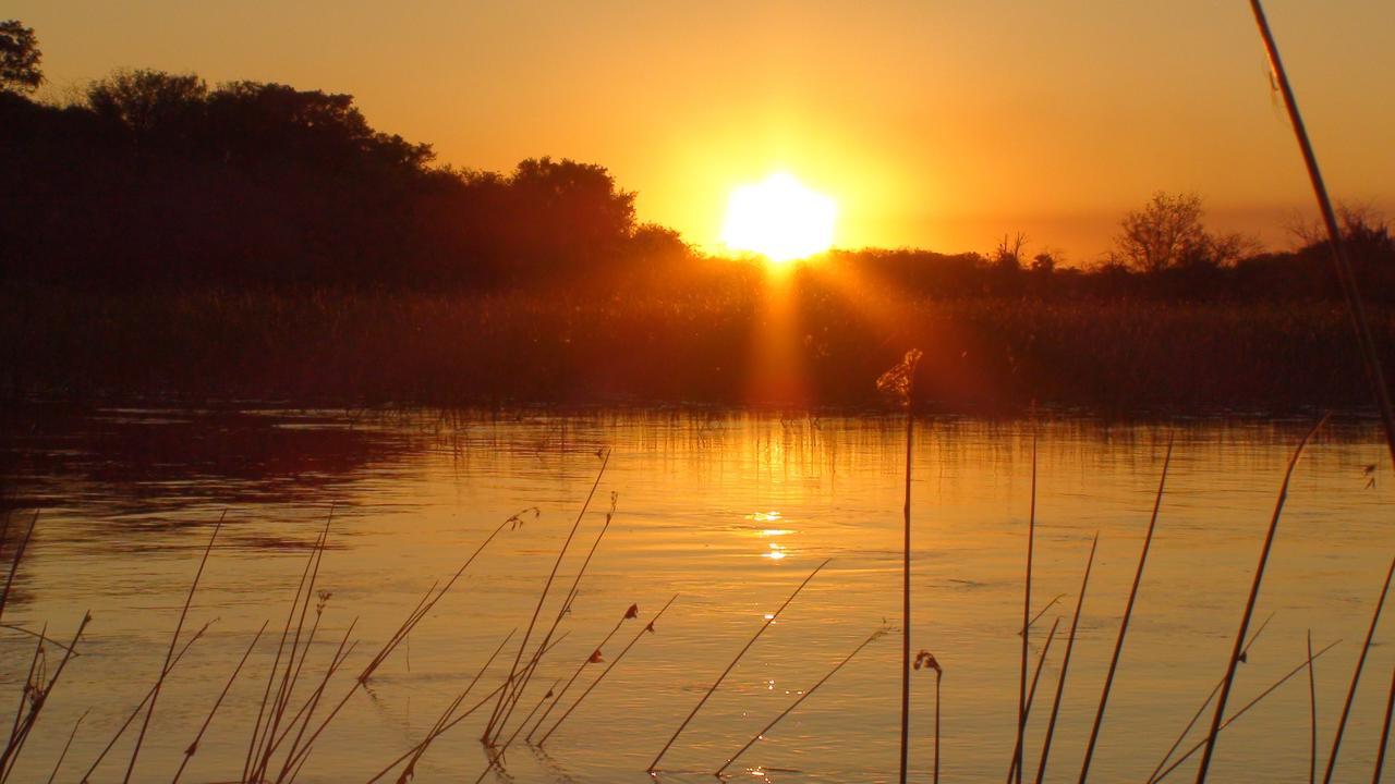 Island Safari Lodge Maun Zewnętrze zdjęcie