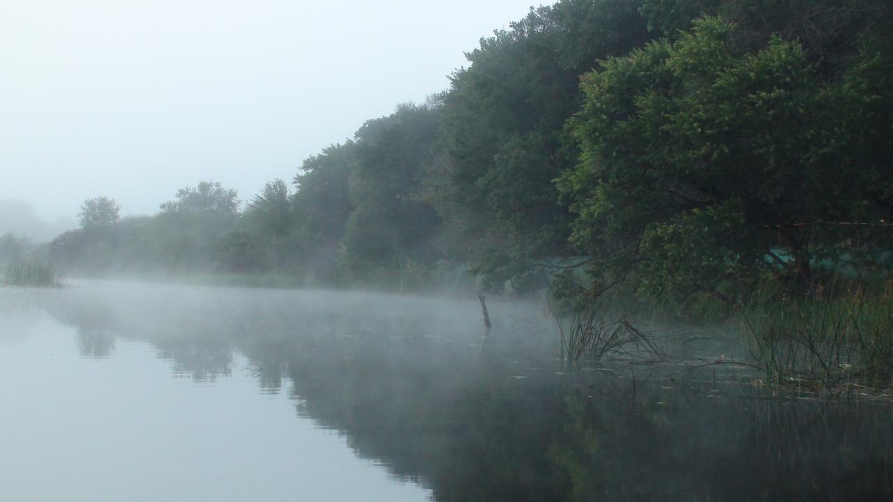 Island Safari Lodge Maun Zewnętrze zdjęcie