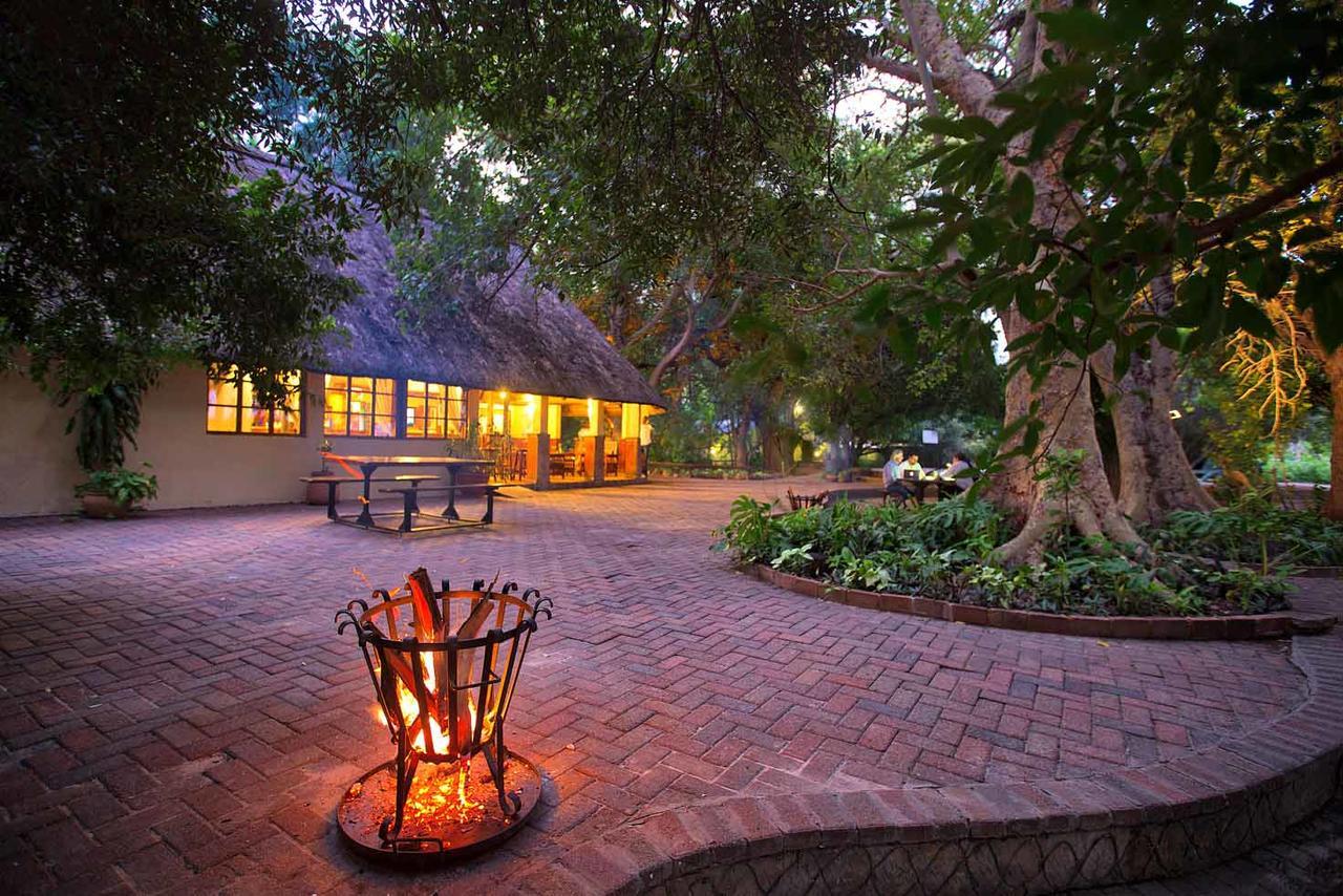 Island Safari Lodge Maun Zewnętrze zdjęcie