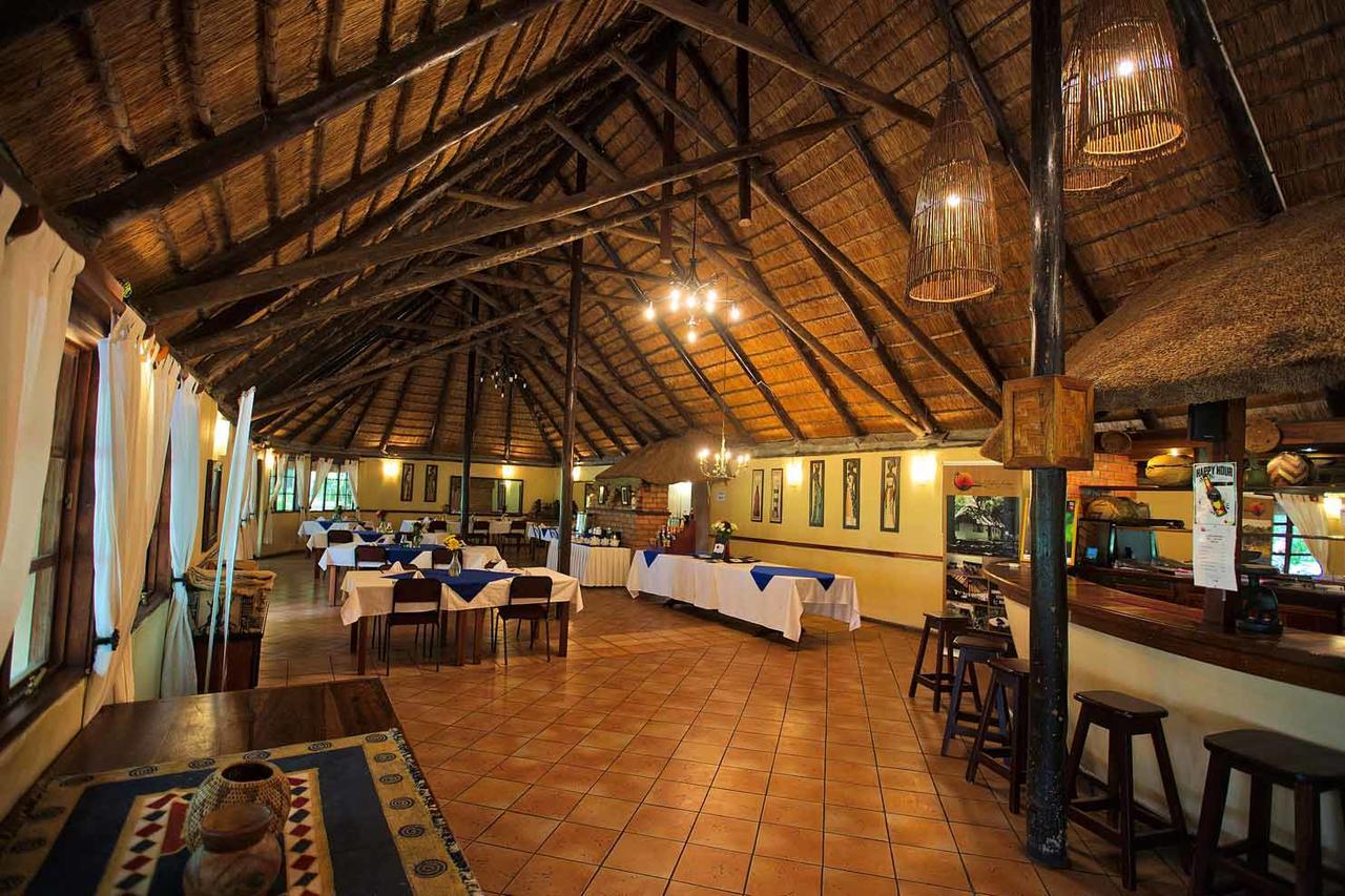 Island Safari Lodge Maun Zewnętrze zdjęcie