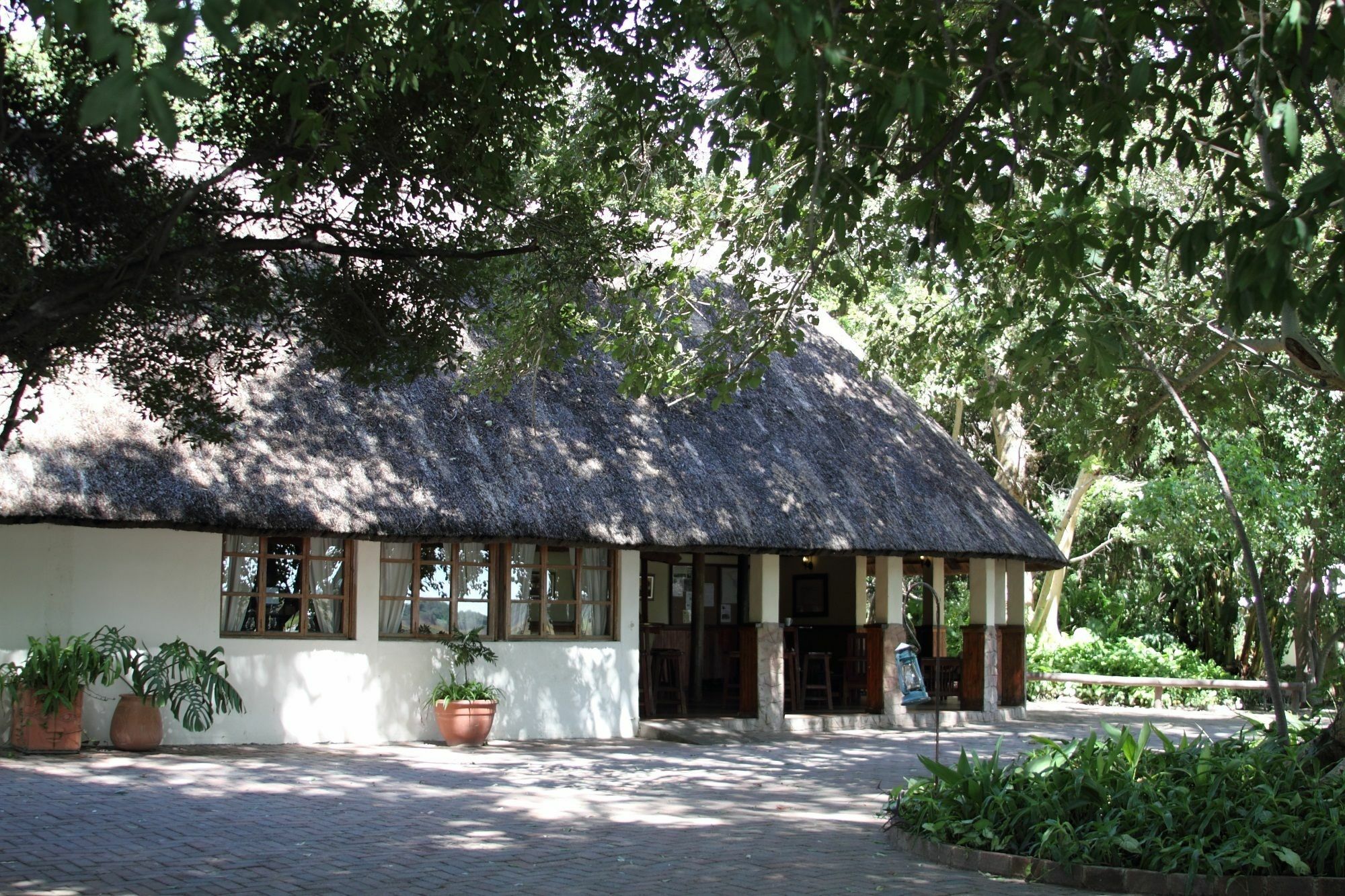 Island Safari Lodge Maun Zewnętrze zdjęcie