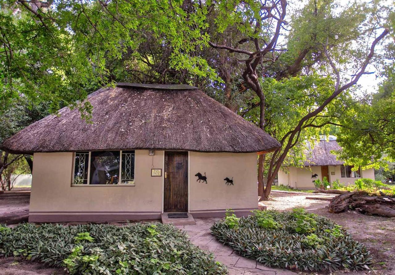 Island Safari Lodge Maun Zewnętrze zdjęcie